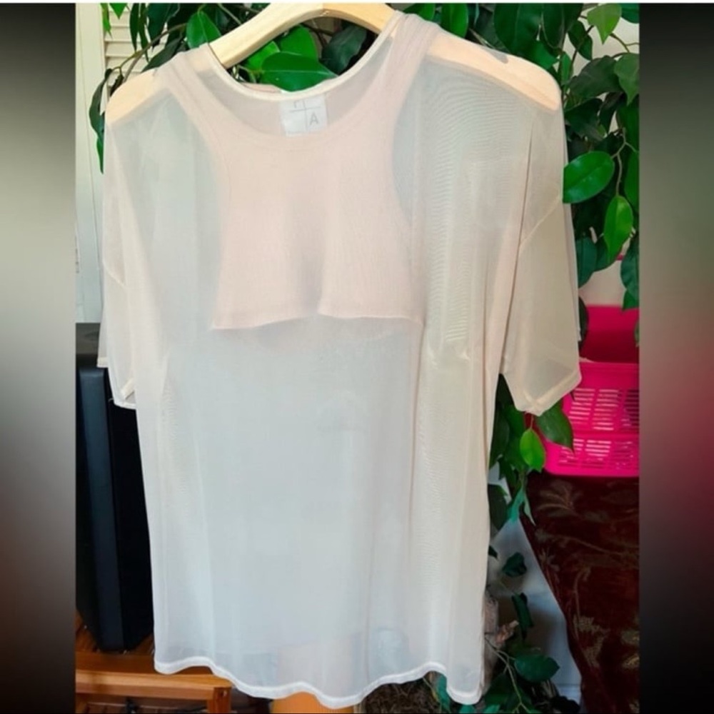 Privacy Academy Sheer Cream Blouse